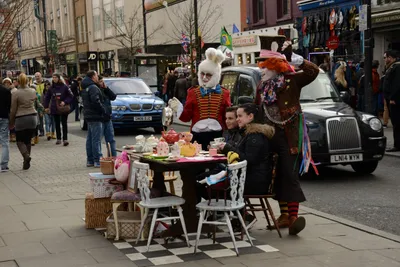 DSC_1383 (Large).JPG